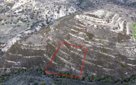 Field in Dora, Limassol