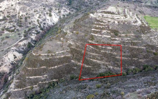 Field in Dora, Limassol