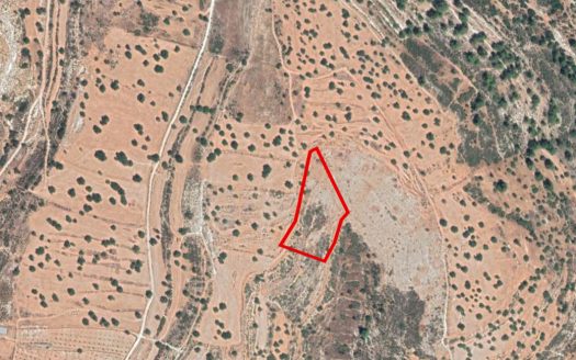 Agricultural field in Pachna, Limassol