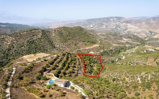 Field in Dora, Limassol