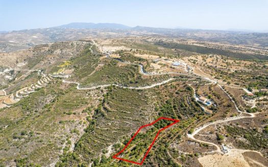 Field in Dora, Limassol