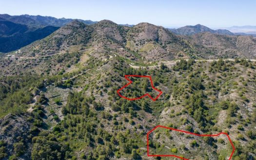 Five fields in Sykopetra, Limassol