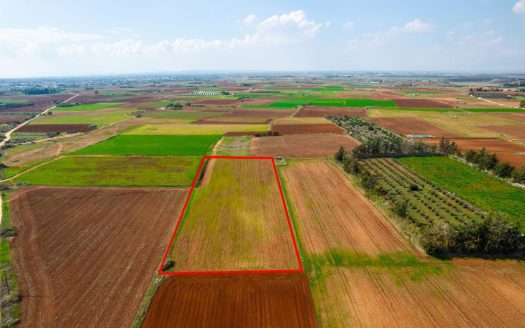 Agricultural field in Frenaros, Famagusta