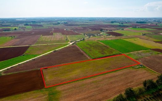Agricultural field in Frenaros, Famagusta
