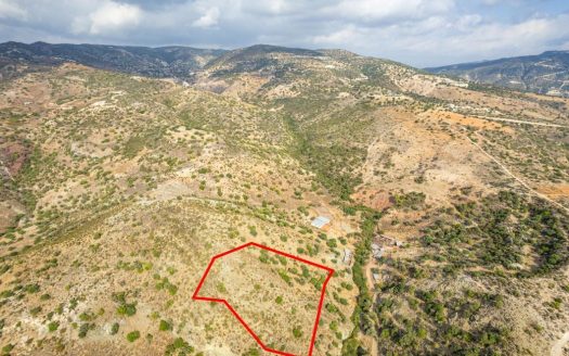 Shared agricultural field in Pegeia, Paphos