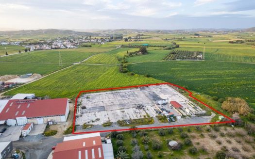 Shared industrial field in Livadia, Larnaca