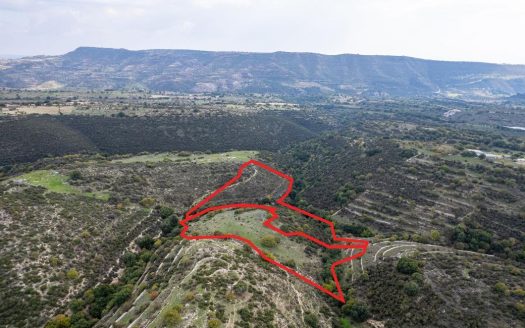 Fields in Dora, Limassol