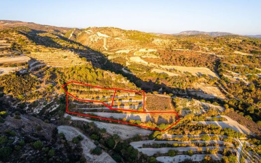 Three agricultural fields in Amargeti, Paphos