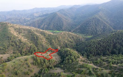 Shared agricultural field in Pigenia, Nicosia