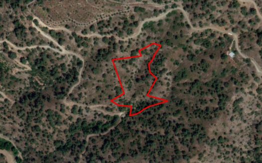 Field in Sykopetra, Limassol