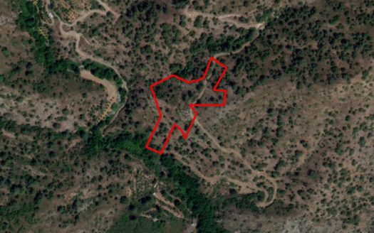 Field in Sykopetra, Limassol