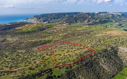 Touristic field in Pissouri, Limassol