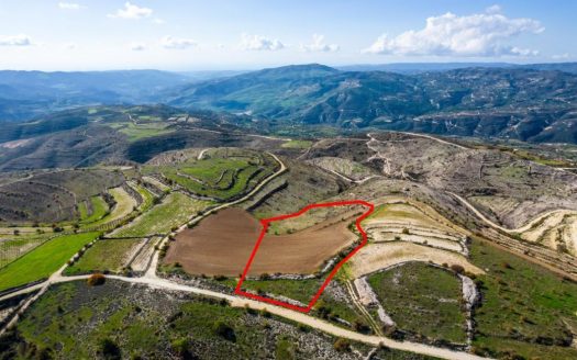 Field in Arsos, Limassol