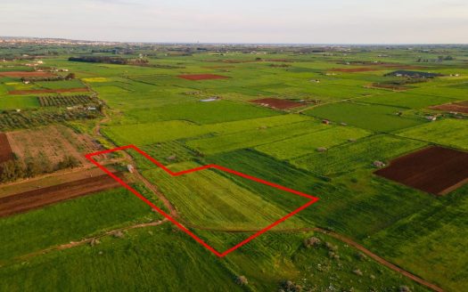 Agricultural field in Avgorou, Famagusta