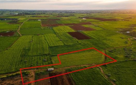 Agricultural field in Avgorou, Famagusta