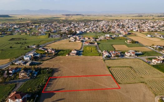 Shared residential field in Athienou, Larnaca