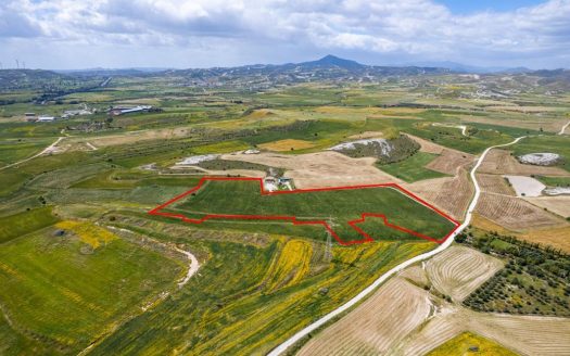 Agricultural field in Kalo Chorio, Larnaca