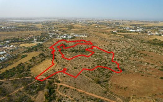 Shared agricultural field in Paralimni, Famagusta