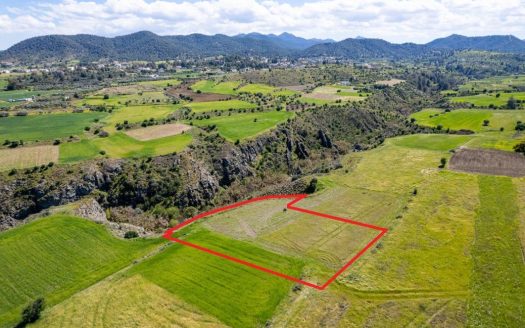 Field in Kalo Chorio Oreinis, Nicosia
