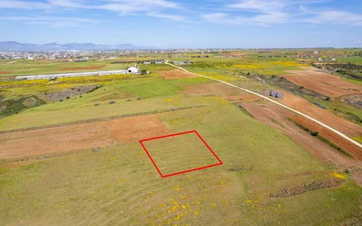 Agricultural field in Palaiometocho, Nicosia