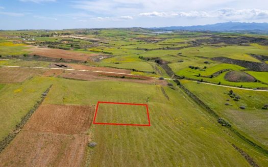 Agricultural field in Palaiometocho, Nicosia