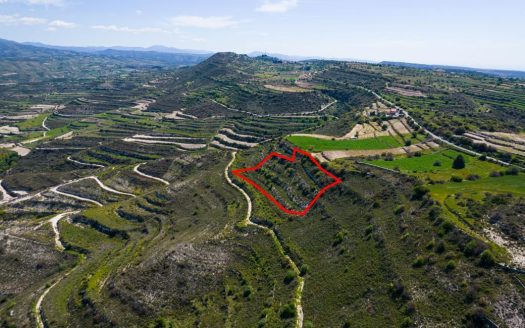 Agricultural field in Pachna, Limassol