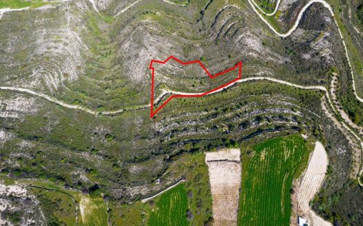 Agricultural field in Pachna, Limassol