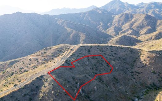 Field in Eptagoneia, Limassol