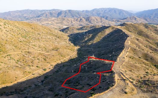 Field in Eptagoneia, Limassol