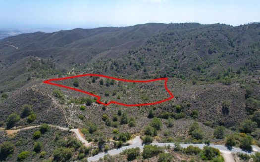 Shared field in Sanida, Limassol