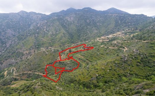 Field in Agioi Vavatsinias, Larnaca