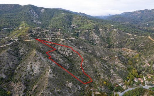 Agricultural field in Pelendri, Limassol