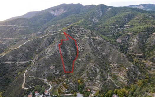 Agricultural field in Pelendri, Limassol