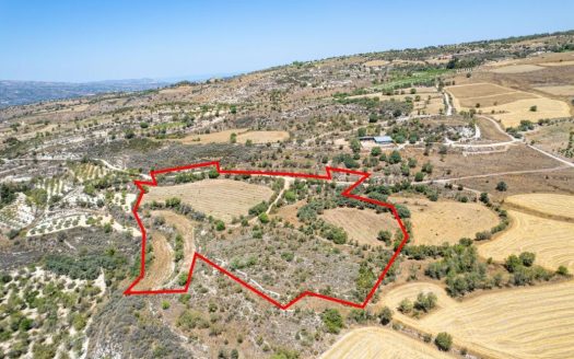 Agricultural Field in Thrinia, Paphos
