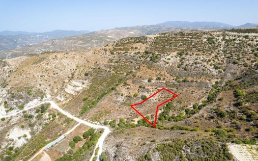 Field in Dora, Limassol