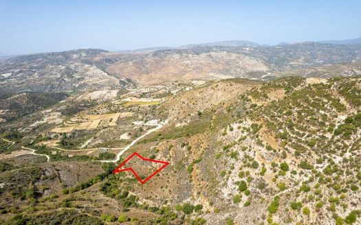 Field in Dora, Limassol