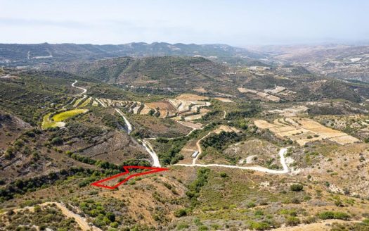 Field in Dora, Limassol