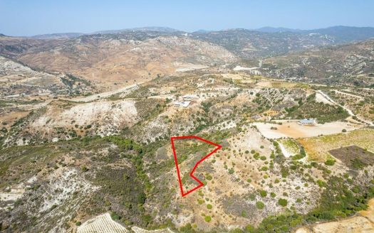 Field in Dora, Limassol