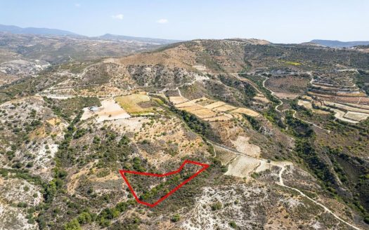 Field in Dora, Limassol