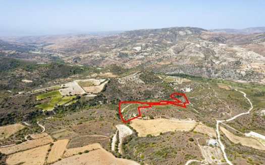 Field in Dora, Limassol