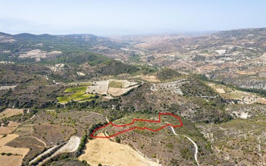 Field in Dora, Limassol