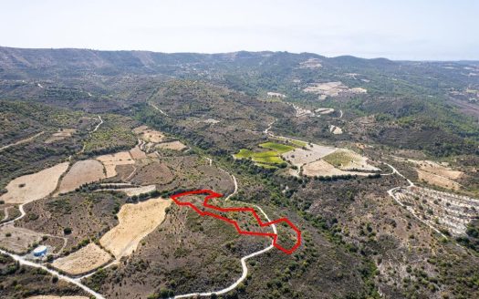 Field in Dora, Limassol