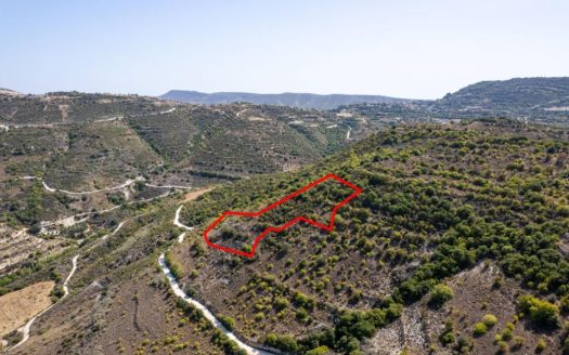 Field in Dora, Limassol