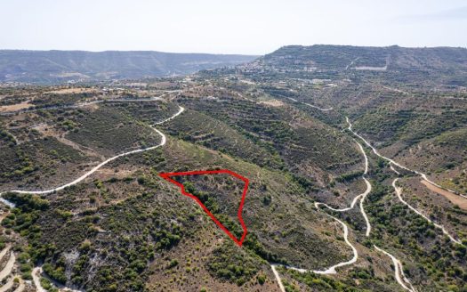 Field in Dora, Limassol