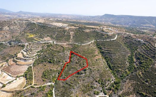 Field in Dora, Limassol