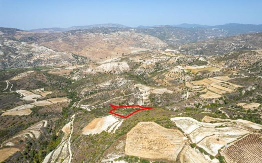 Field in Dora, Limassol