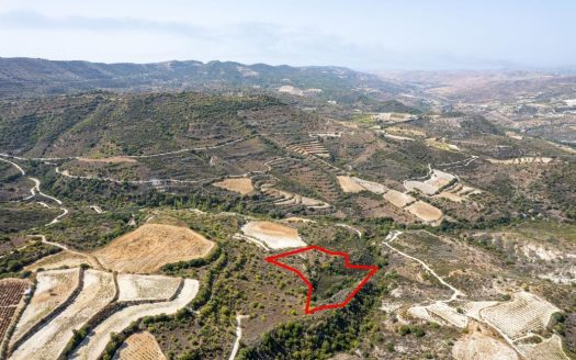 Field in Dora, Limassol