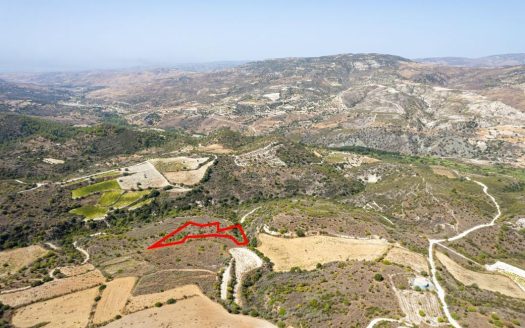 Field in Dora, Limassol