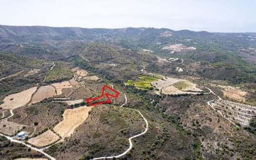 Field in Dora, Limassol