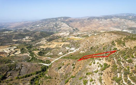 Field in Dora, Limassol